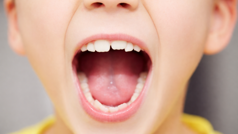 Çocuk Diş Hekimliği