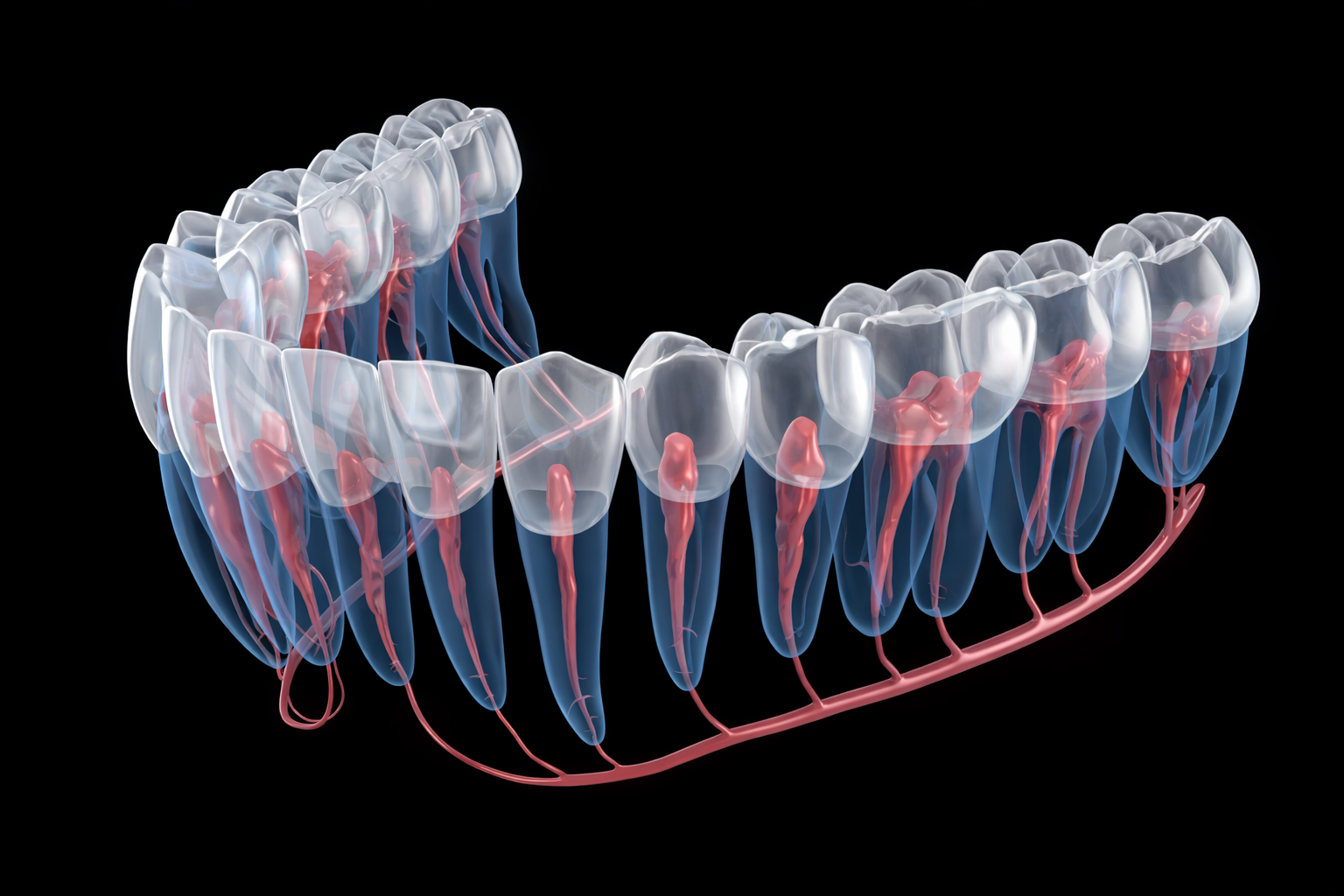 Kanal Tedavisi ve Dolgu